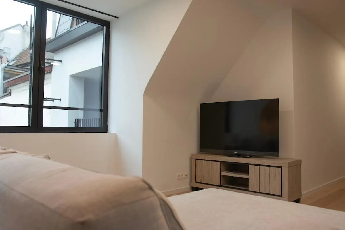 Central Chic Antwerp Apartment
